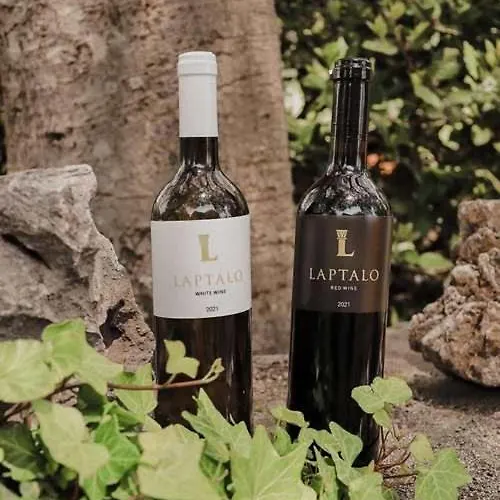 Kate - Outdoor Pool, 4 Bedrooms, Free Parking Villa *